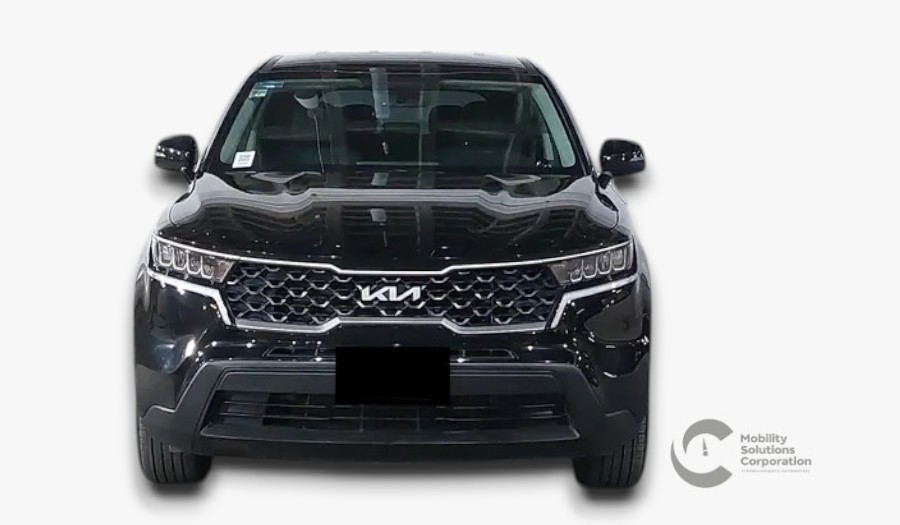 Auto 1